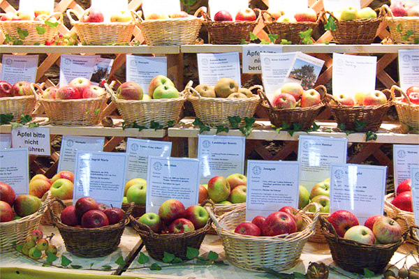 Kronberger Apfelmarkt